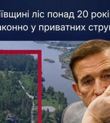 Под Киевом лесные земли отдали без решения правительства в 2004 году: теперь вернули государству