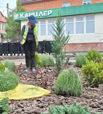 На розі Чміленка та Пашутинської у Кропивницькому облаштували нову клумбу 
