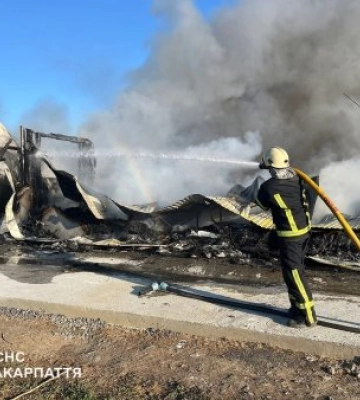 Полум’я ледь не знищило плантацію лохини на Мукачівщині: рятувальники понад годину боролися з вогнем