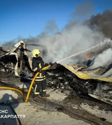 Одна іскра — десятки гектарів у вогні: на Закарпатті за добу сталося 12 пожеж