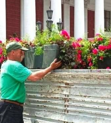 Одесу прикрашають підвісними квітковими вазами: де вже з’явилося озеленення