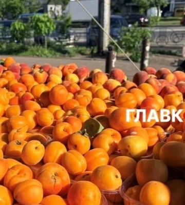 Дешевше за полуницю: огляд цін на ранні персики та абрикоси в Києві