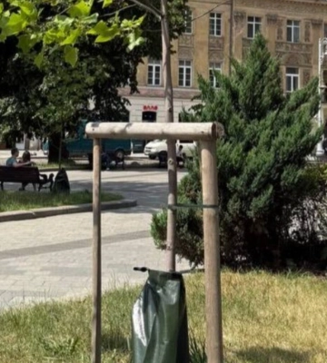 Поліетиленові мішки на деревах у Львові: як місто рятує саджанці від посухи