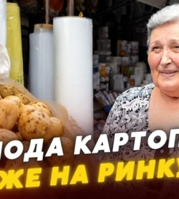 Молода картопля на луцьких ринках: які ціни і звідки везуть сезонний овоч (відео)