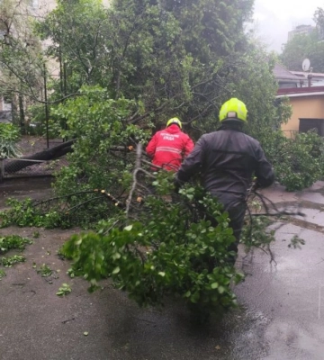 У Києві ліквідували наслідки негоди: рятувальники КАРС прибирали дерева з доріг та авто (ФОТО)