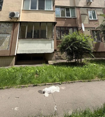 В Киеве мужчина выбросил собаку с 6-го этажа: люди требуют экспертизу (фото, видео)