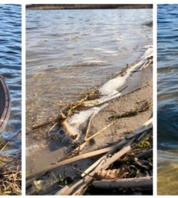 Тихий куточок Світязя: затока Лука вабить цілющою водою та мальовничою природою 
