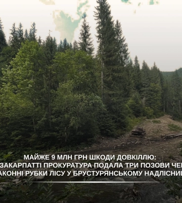 Майже 9 млн грн шкоди довкіллю: на Закарпатті прокуратура подала три позови через незаконні рубки лісу у Брустурянському надлісництві