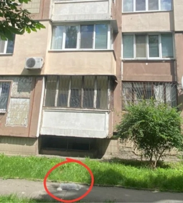 У Києві п’яний чоловік викинув собаку з вікна: за смерть тварини йому оголосили підозру