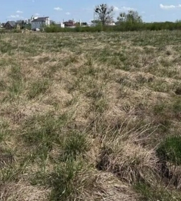 Аукціон у Львові. найбільший ажіотаж очікують щодо ділянки 37 сотих в мікрорайоні Рясне-2