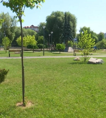 У Рівному за понад 4 мільйони гривень облаштують майданчик для вигулу собак (ВІДЕО)