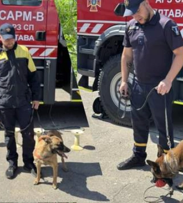 У ДСНС Полтавщини служитимуть собаки з Камбоджі