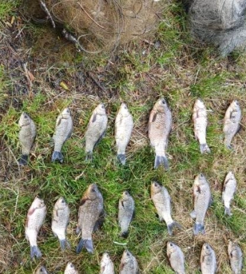 На Черкащині з річки вилучили браконьєрські сітки з понад 20 рибинами в них