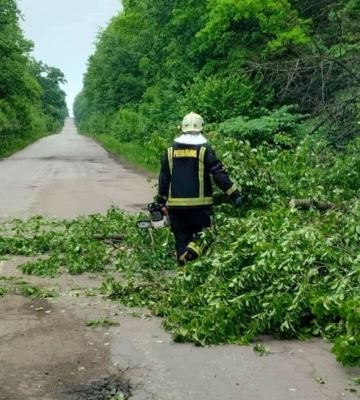На Дубенщині дерево впало на дорогу та заблокувало рух транспорту