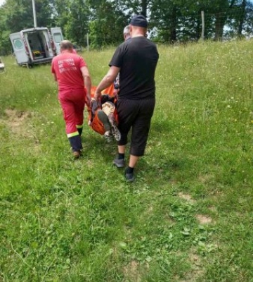 Медики несли жінку на руках крізь закарпатські джунглі та бездоріжжя: бригада «швидкої» здійснила подвиг на Рахівщині (ФОТО)