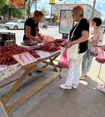 Ягідний ярмарок влаштували в Кропивницькому (фоторепортаж)