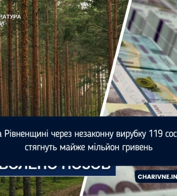 На Рівненщині через незаконну вирубку 119 сосен стягнуть майже мільйон гривень