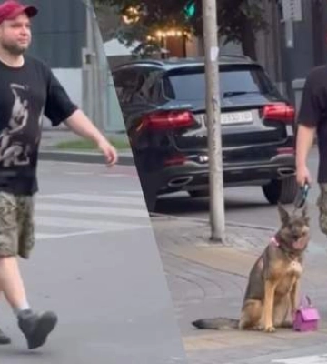 С гламурной сумочкой в зубах: на Золотых Воротах в Киеве прогуливается милая собачка
