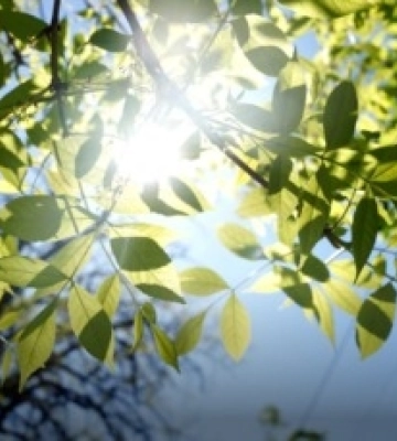 Примхи літньої погоди на Житомирщині: від сонячного тепла до грозових дощів та похолодання