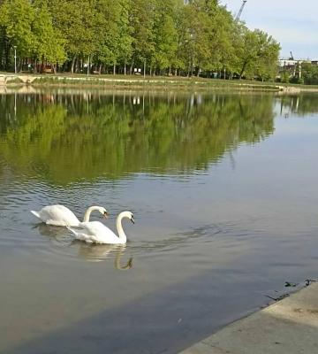 У Львові визначать легендарного ловця коропів