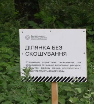 У Києві за рік різко зросла кількість ділянок із режимом обмеженого скошування: що це дасть