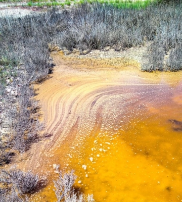 У Білгород-Дністровському районі вода у лиманах набула дивних відтінків