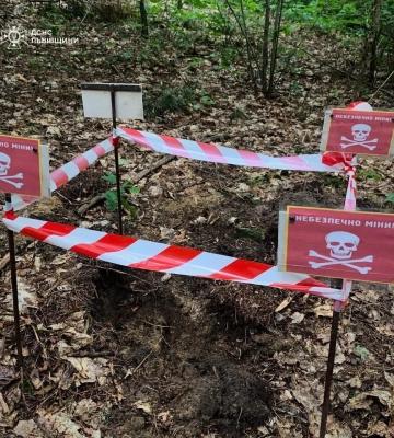 У лісі на Яворівщині знайшли міну часів Другої світової війни