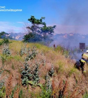 13 червня та в ніч проти 14 на території Миколаївської області зареєстровано 8 пожеж