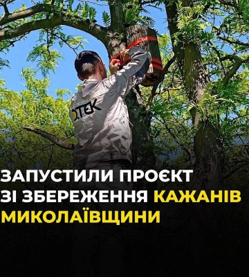 У Миколаївській області почали встановлювати будиночки для кажанів