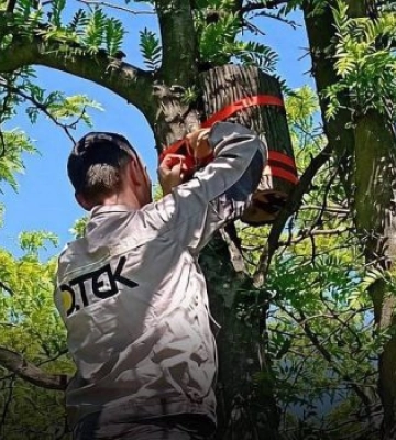 На Миколаївщині стартував масштабний порятунок кажанів