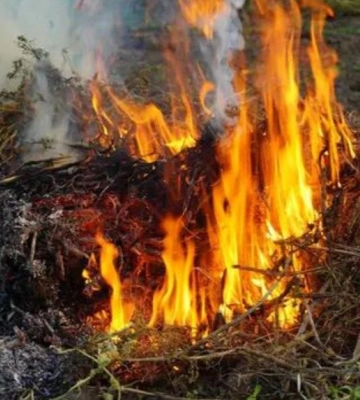 У Луцьку підліток розпалив багаття в парку. Як і кого покарали за це