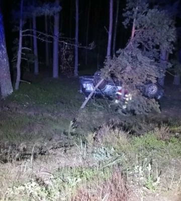 На Волині Audi з'їхала в кювет і перекинулася: постраждали водій та 18-річна пасажирка