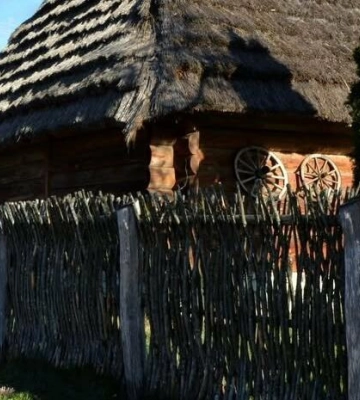 Діти переосмислять Франка: на Львівщині стартував всеукраїнський онлайн-флешмоб