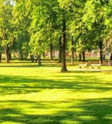 На околицях Львова з’явиться заказник площею 55 гектарів