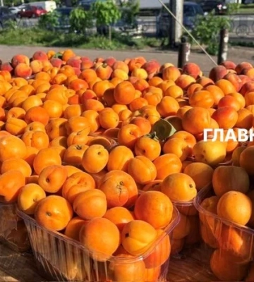 У Києві 16-21 червня відбудуться продовольчі ярмарки (адреси)