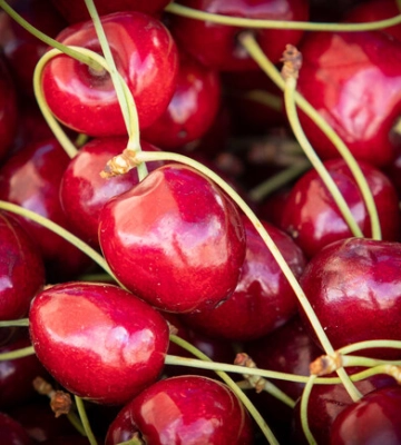 Где на этой неделе в Киеве пройдут продуктовые ярмарки. Адреса