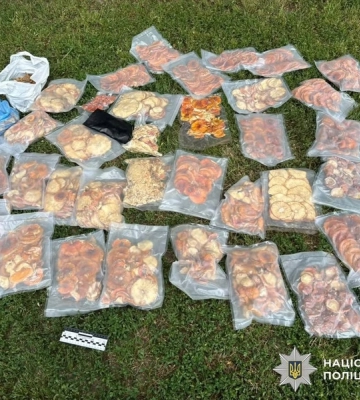 Кілограми психотропних грибів і канабісу: на Кіровоградщині викрили наркозбувачів 