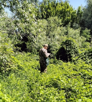 На Одещині планують розширити площу Нацпарку через будівництво ЛЕП