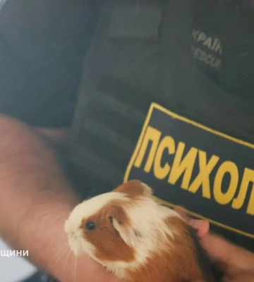 Кілька тварин загинули внаслідок ворожого удару по зоопарку в Харкові