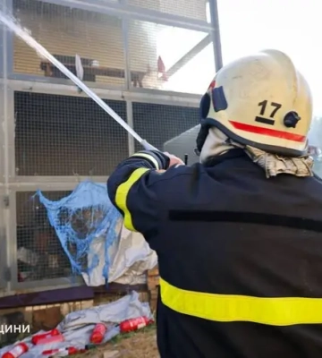 Росія вдарила по зоопарку в Харкові: загинуло кілька тварин, горіли вольєри