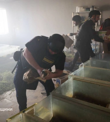 Погибли 10 кроликов, у слона стресс. Итог удара БпЛА РФ по зоопарку Харькова