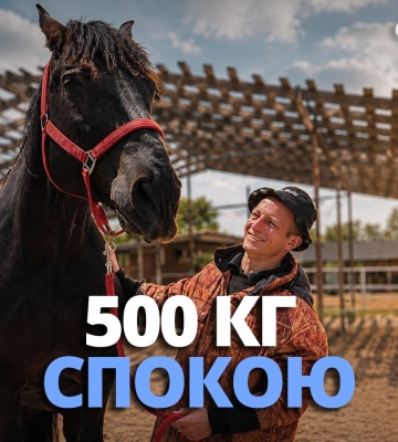 Живі сканери емоцій: як «500 кг спокою» лікують душі під Харковом (відео)