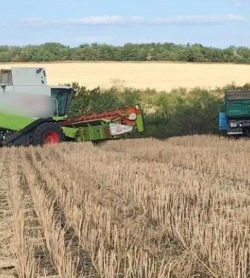 Без дозволів зайняв 119 гектарів землі: на Одещині судитимуть директора фермерського господарства
