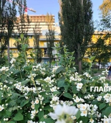 Дощі відступають, іде літнє тепло: як зміниться погода в Києві до 20 червня