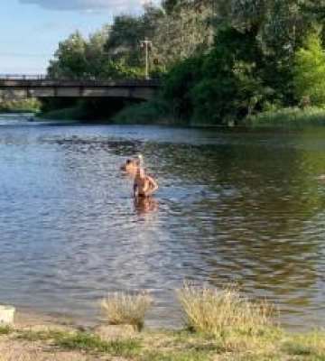Безпечні пляжі Полтавщини: де дозволено купатися