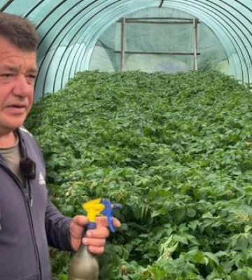 "Грицевский огурец": как после побега из оккупации фермер возродил свое дело в Хмельницкой области