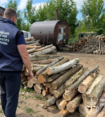На Харківщині “чорні лісоруби” знищили близько 60 дерев