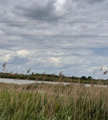 Громаді на Львівщині повернули понад 53 гектари земель водного фонду