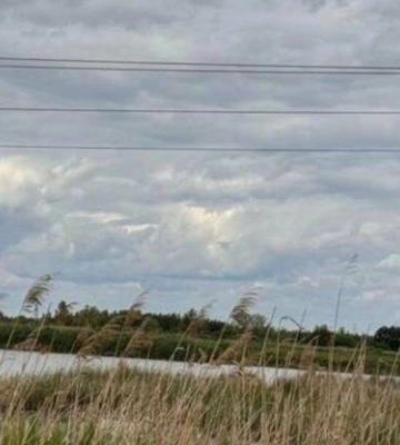 Громаді Стрия повернули ділянку зі ставками площею 53 га