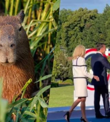 G7 под „Capybara": Эммануэль Макрон встречал мировых лидеров под мемный трек
